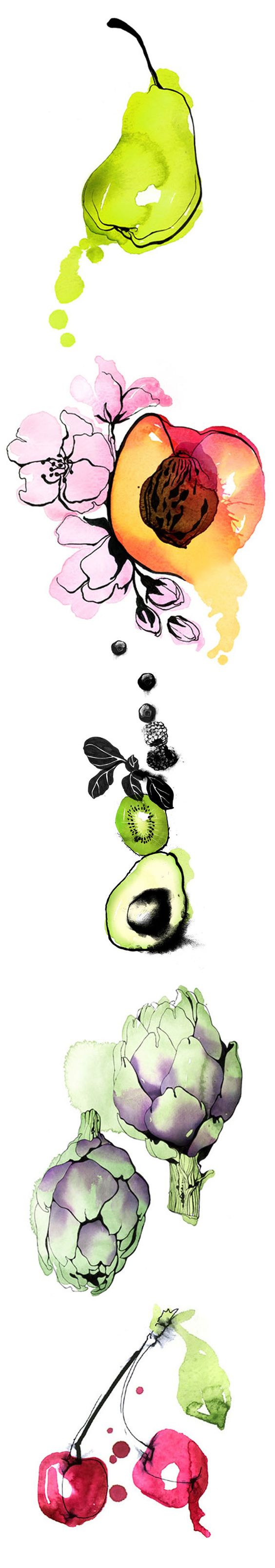 نقاشی میوه با آبرنگ